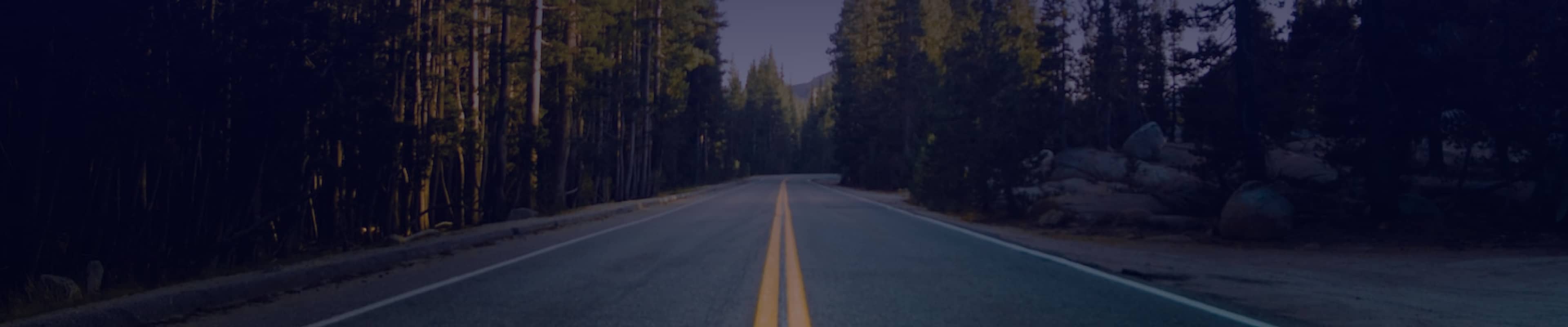 Road traveling into scenic woods