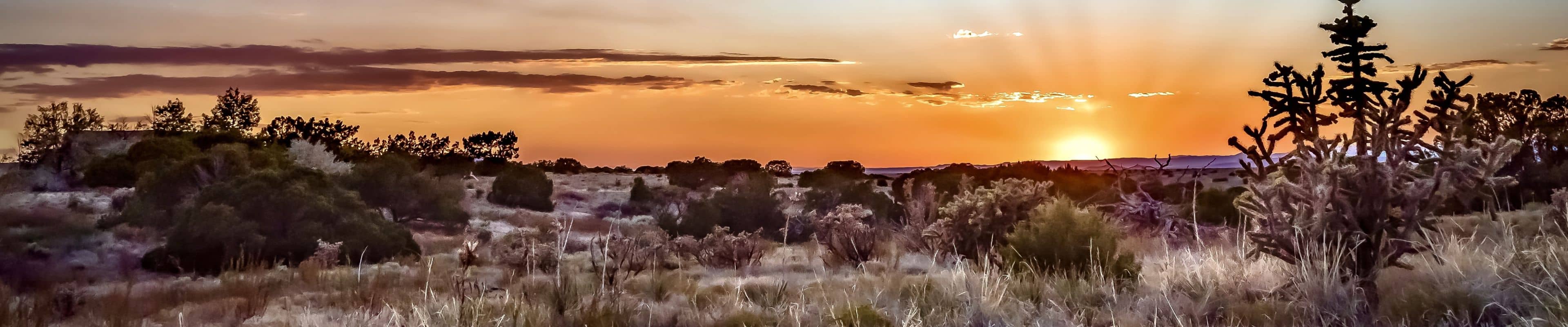 Scenic photo of New Mexico