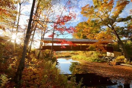 Scenic photo of {{ name }}