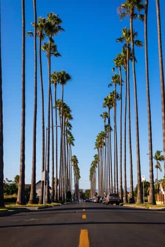 Scenic photo of Los Angeles, CA