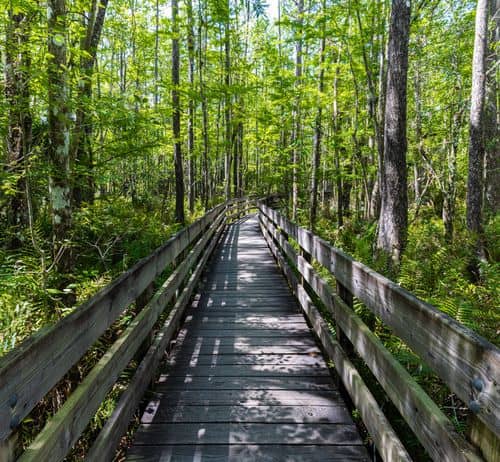 Photo pittoresque de {{ name }}