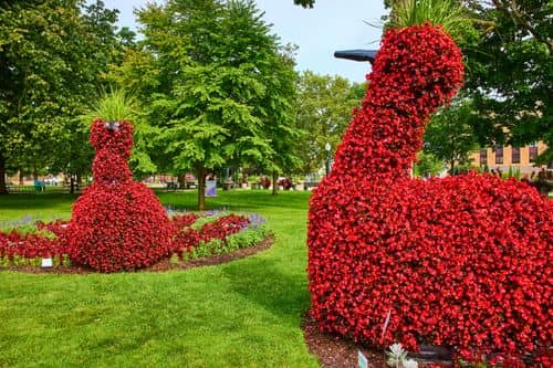 Photo pittoresque de {{ name }}